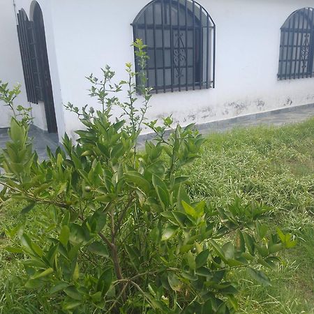 Hostel Alto Alberdi Cordoba Dış mekan fotoğraf
