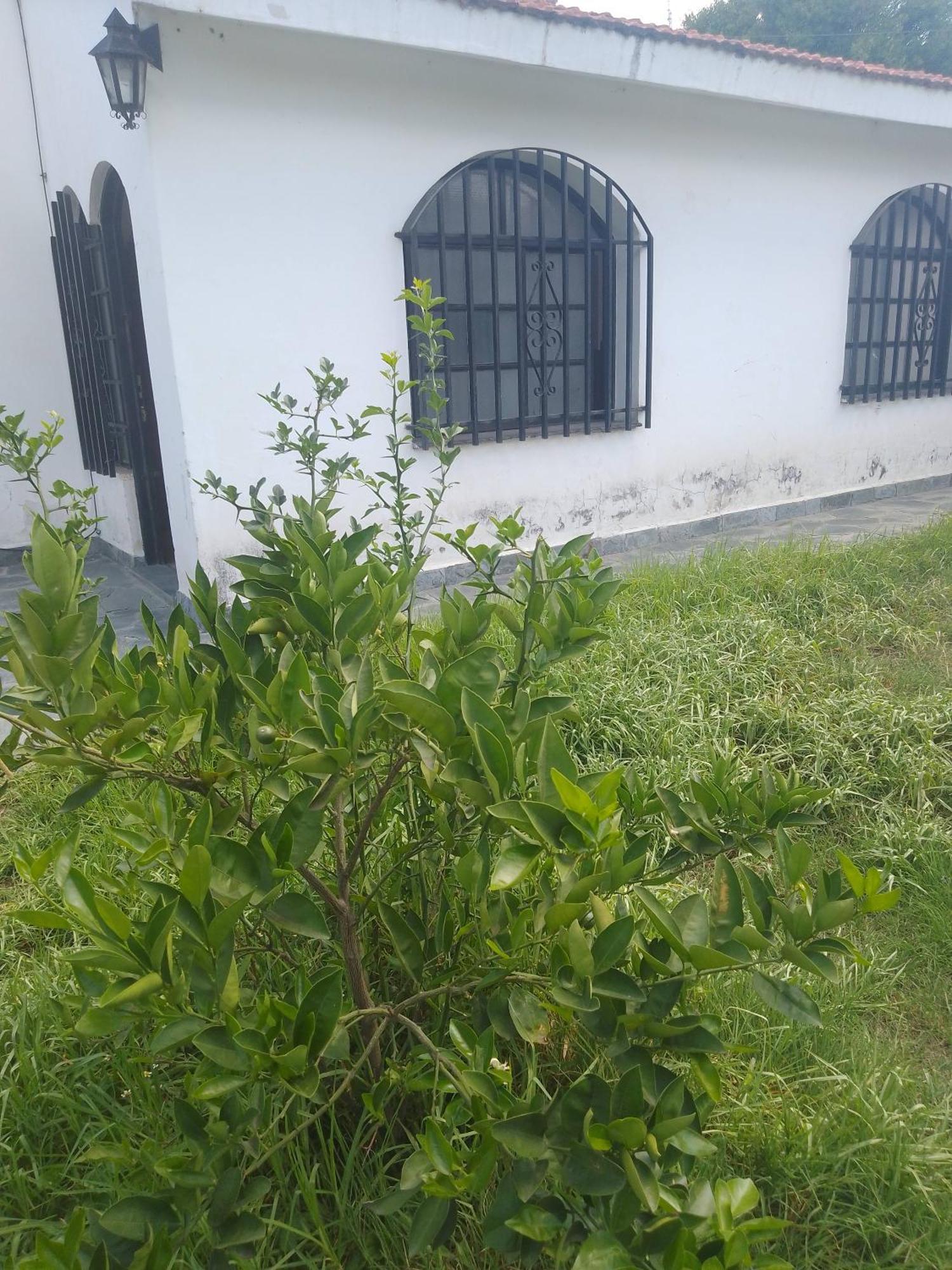 Hostel Alto Alberdi Cordoba Dış mekan fotoğraf