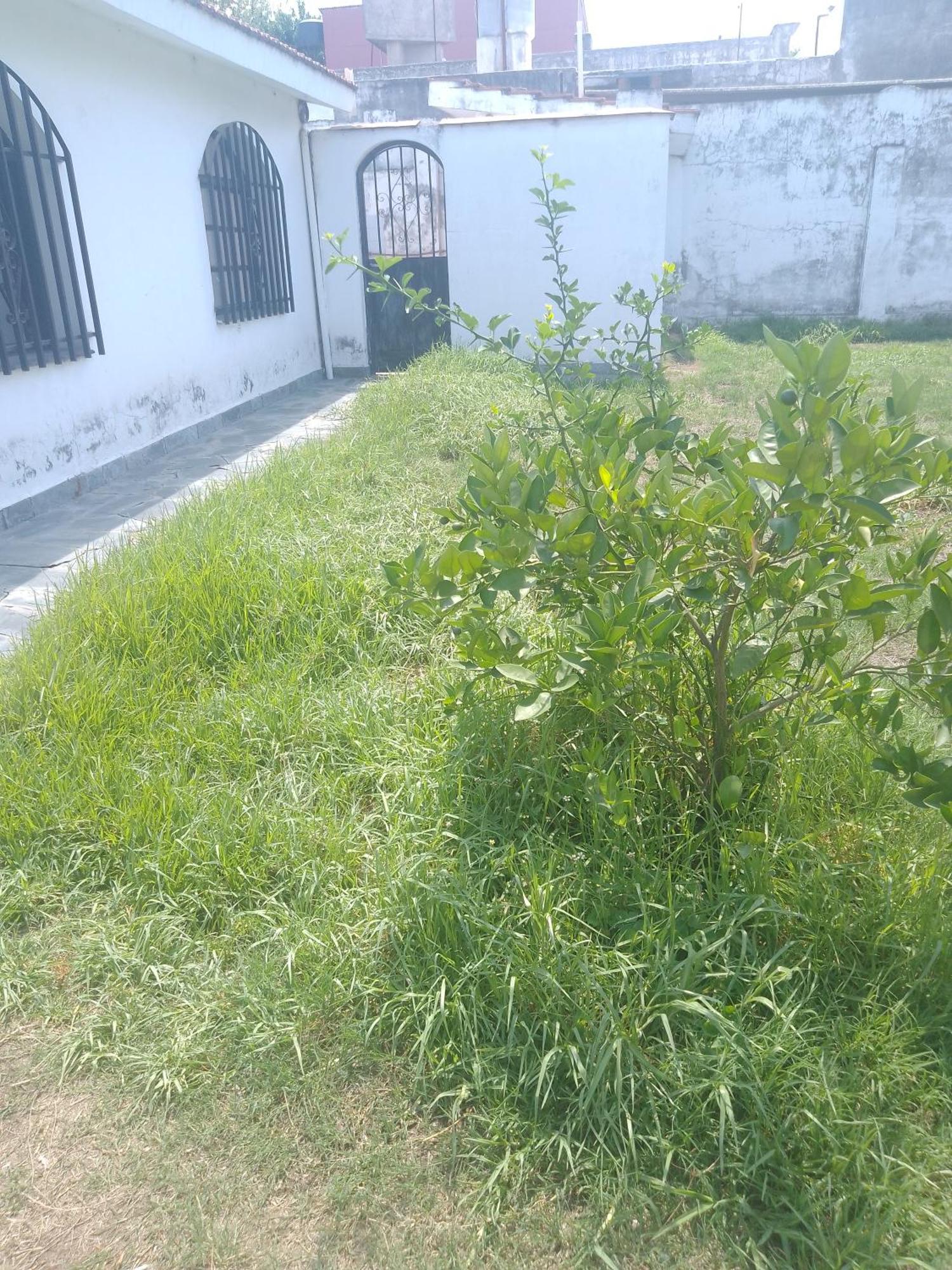 Hostel Alto Alberdi Cordoba Dış mekan fotoğraf